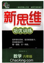 新思维培优训练 数学 六年级