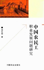 中国农民工职业发展问题研究