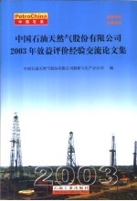 中国石油天然气股份有限公司2003年效益评价经验交流论文集