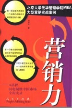 营销力 A品牌闪电制胜中国市场全程实录