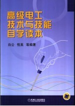 高级电工技术与技能自学读本