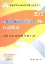 工商管理专业知识与实务（中级）应试指南 2015