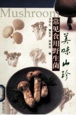 美味山珍 常见食用野生菌