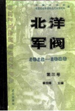 北洋军阀  1912-1928  第3卷  皖系军阀与日本