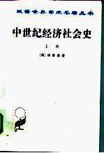 中世纪经济社会史 300-1300年 上