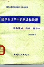 输电系统产生的电场和磁场 现象简述实用计算导则