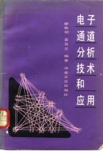 电子通道分析技术和应用