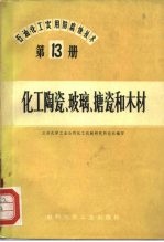 石油、化工实用防腐蚀技术 第13册 化工陶瓷、玻璃、搪瓷和木材