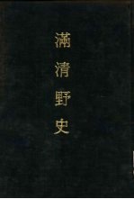 满清野史 4