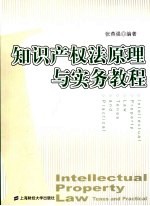 知识产权法原理与实务教程