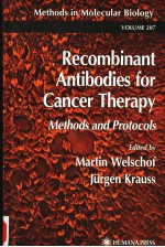 RECOMBINANT ANTIBODIES FOR CANCER THERAPY METHODS AND PROTOCOLS