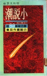 小说潮：联合报第八、九届小说奖作品集