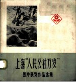 上海“人民公社万岁”图片展览作品选集