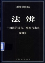 法辨  中国法的过去、现在与未来