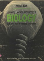 SCANNING ELECTRON MICROSCOPY IN BIOLOGY A STUDENTS’ATLAS ON BIOLOGICAL ORGANIZATION