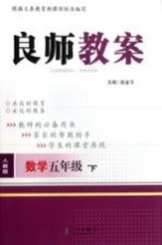 良师教案  数学  五年级  下  人教版