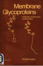 MEMBRANE GLYCOPROTEINS A REVIEW OF STRUCTURE AND FUNCTION