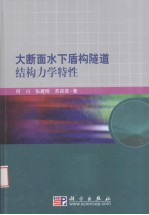 大断面水下盾构隧道结构力学特性