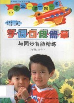 小学语文 字词句段篇章与同步智能精练 人教版修订 五年制 二年级全册