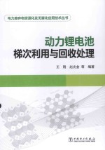 电力废弃物资源化及无害化应用技术丛书  动力锂电池梯次利用与回收处理