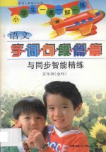 小学语文 字词句段篇章与同步智能精练 人教版修订 五年制 五年级全册