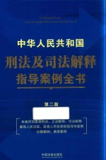 中华人民共和国刑法及司法解释指导案例全书  司法案例与司法解释  第2版