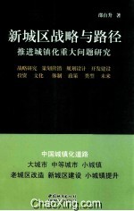 新城区战略与路径 推进城镇化重大问题研究