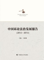 中国诉讼法治发展报告 2012-2013