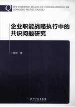 企业职能战略执行中的共识问题研究