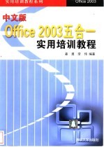 中文版Office 2003五合一实用培训教程