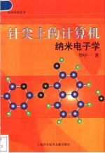 针尖上的计算机 纳米电子学