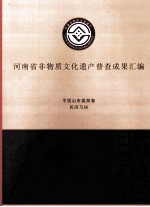 河南省非物质文化遗产普查成果汇编 平顶山市类别卷 民间习俗 5