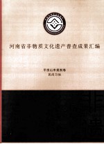 河南省非物质文化遗产普查成果汇编 平顶山市类别卷 民间习俗 6