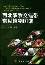 西北农牧交错带常见植物图谱