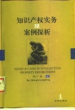 知识产权实务及案例探析