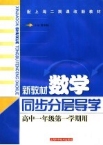 新教材数学同步分层导学