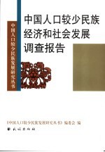 中国人口较少民族经济和社会发展调查报告