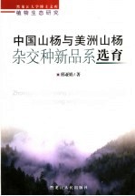 中国山杨与美洲山杨杂交种新品系选育