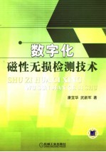 数字化磁性无损检测技术