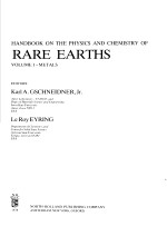 HANDBOOK ON THE PHYSICS AND CHEMISTRY OF RARE EARTHS VOLUME 1 METALS