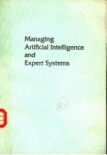 MANAGING ARTIFICIAL INTELLIGENCE AND EXPERT SYSTEMS