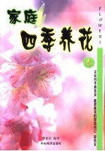 家庭四季养花  春季观花植物