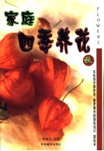 家庭四季养花  秋季观花植物