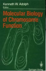 MOLECULAR BIOLOGY OF CHROMOSOME FUNCTION