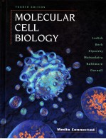 MOLECULAR CELL BIOLOGY