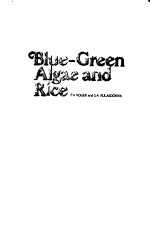 BLUE-GREEN ALGAE AND RICE