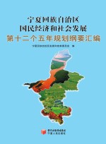 宁夏回族自治区国民经济和社会发展第十二个五年规划纲要汇编