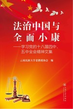 法治中国与全面小康 学习党的十八届四中、五中全会精神文集