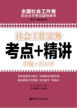 社会工作实务 中级 2017年考点+精讲