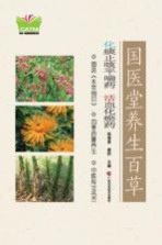 国医堂养生百草 化痰止咳平喘药 活血化瘀药